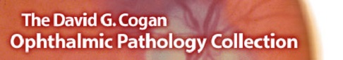 dctcTitleImage